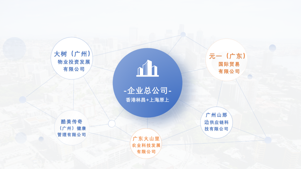 企业介绍 集团架构